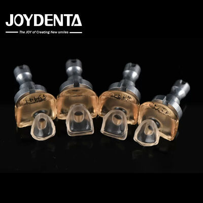 acheter Biocompatibilité élevée Porcelaine en verre Faisceaux céramiques 0,3 mm-0,8 mm Pour le blanchiment des dents fabrication en ligne